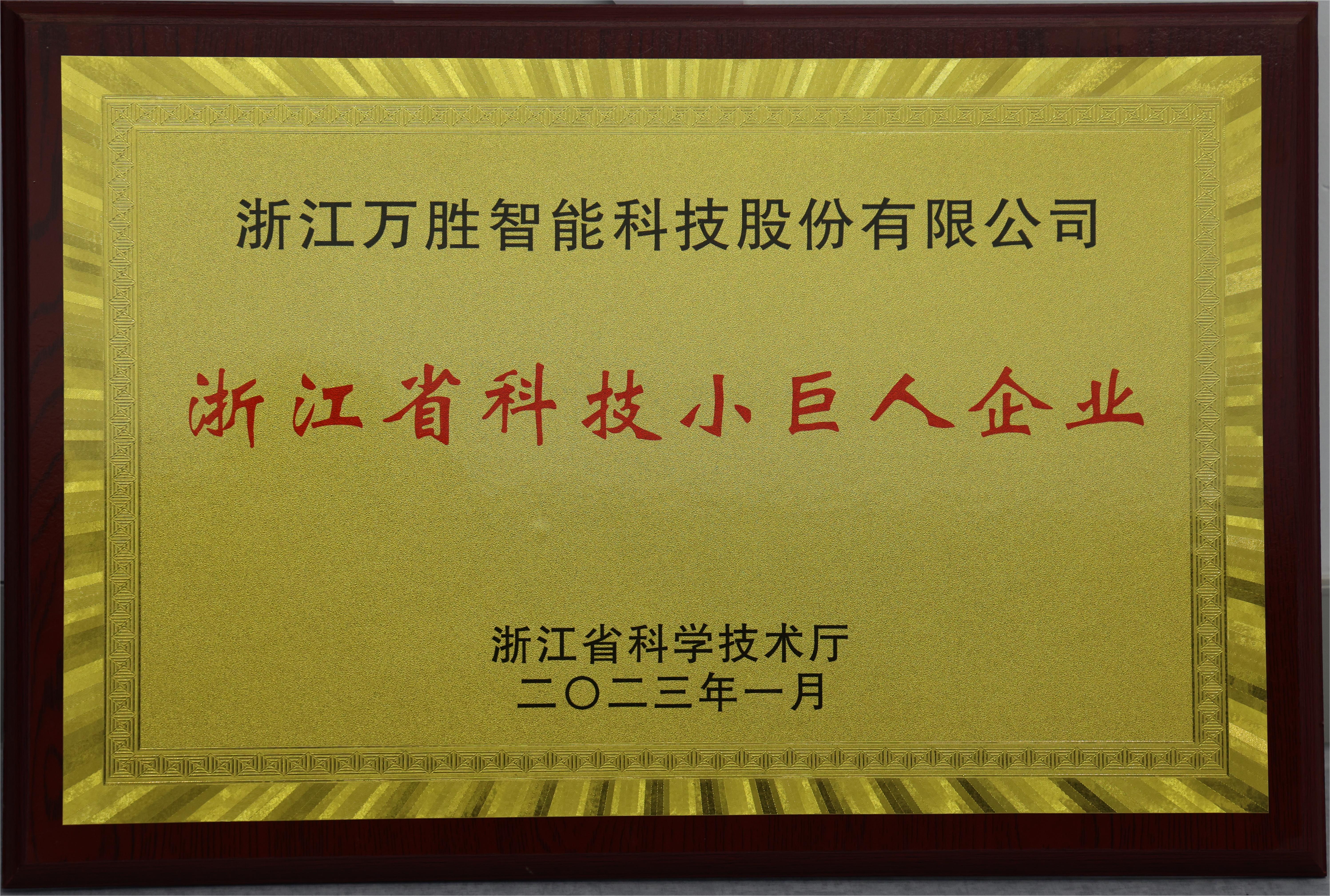 1、浙江省科技小巨人企业.JPG
